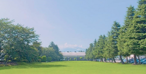 環境への取り組み